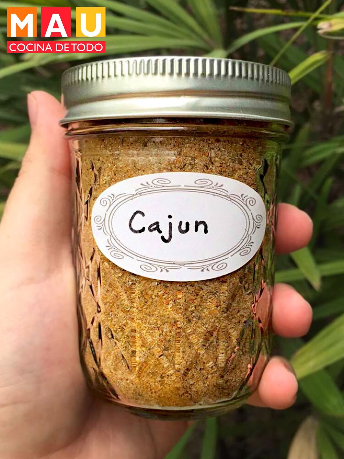 Sazonador Cajun Casero