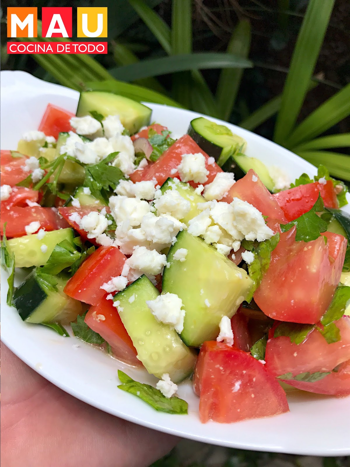 Ensalada Griega
