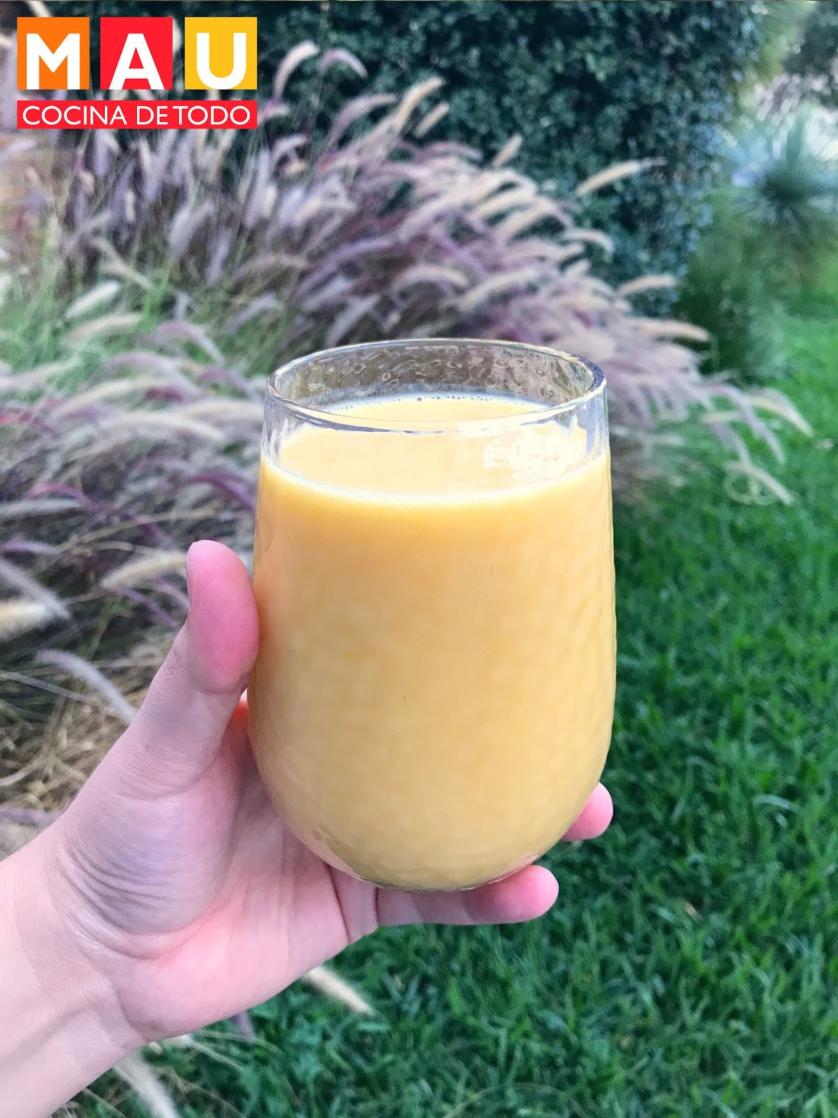 Agua de Mango y Coco