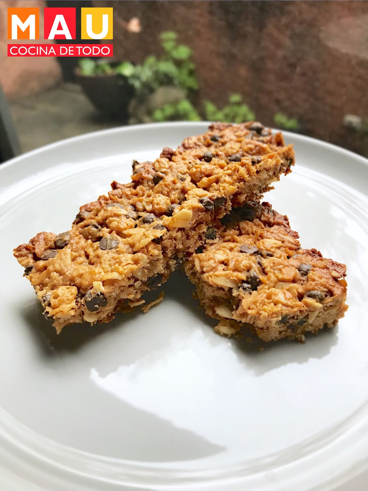 Barritas de Granola