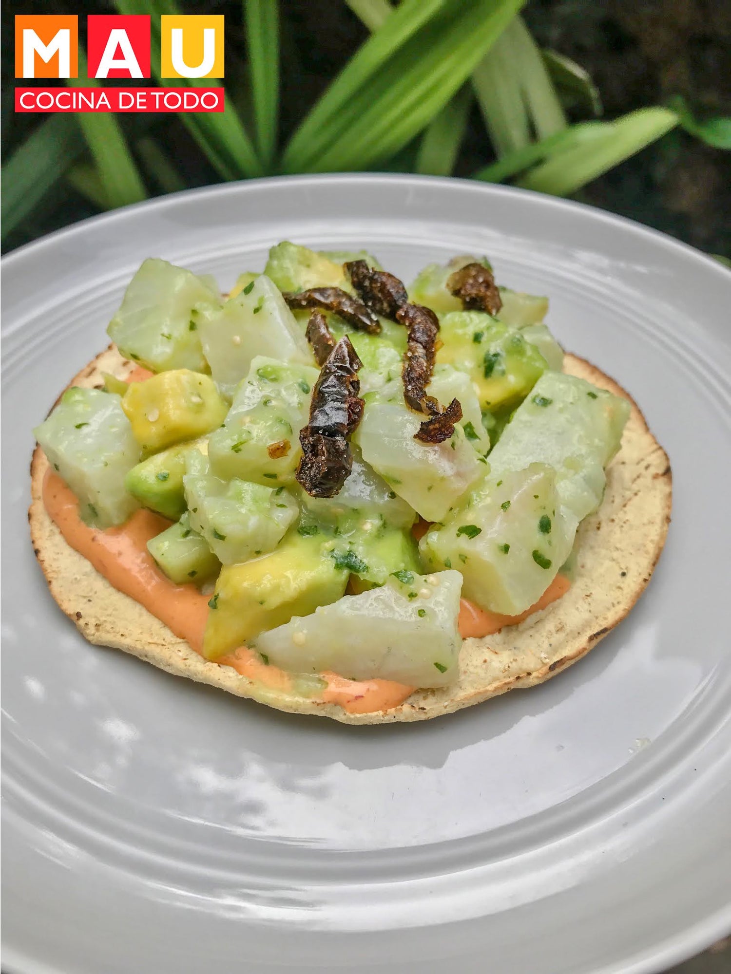 Ceviche Verde