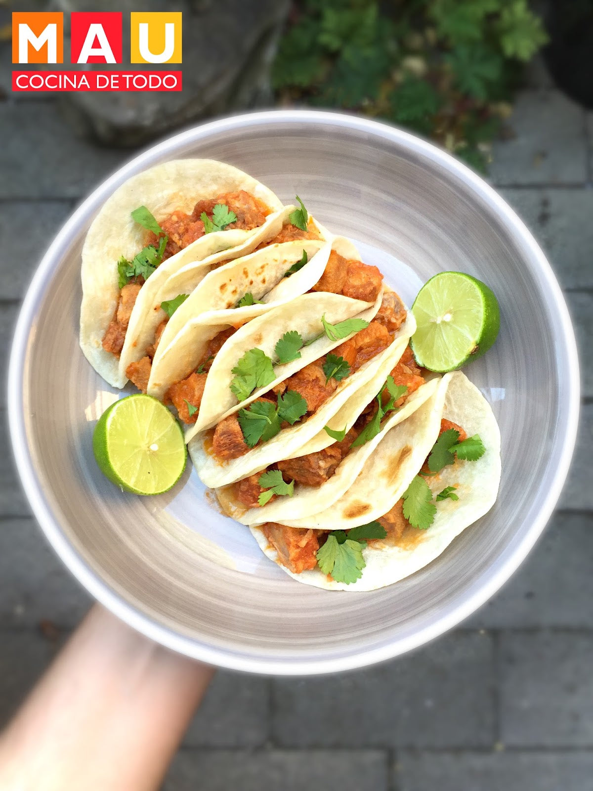 Chicharrón en Salsa Roja