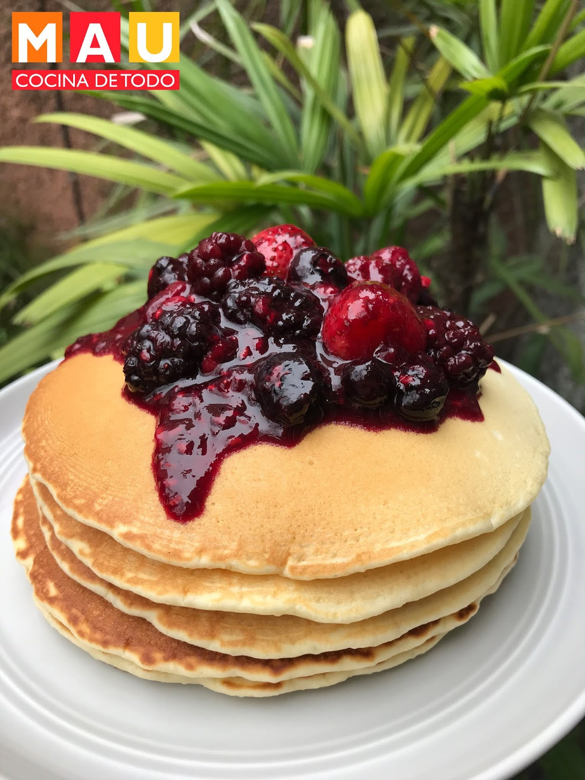 Compota de Frutos Rojos