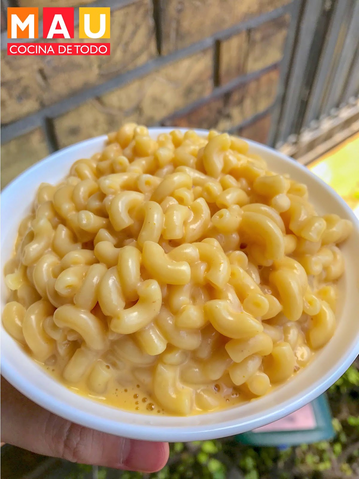 Macarron con Queso Sencillo (Mac and Cheese)