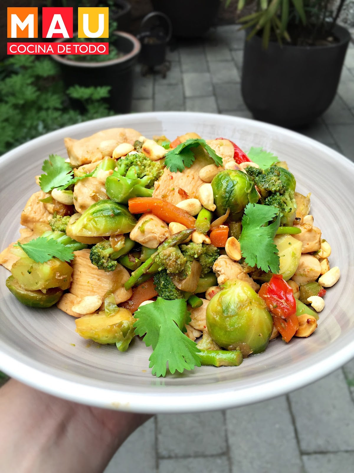 Stir Fry de Pollo (receta low carb)