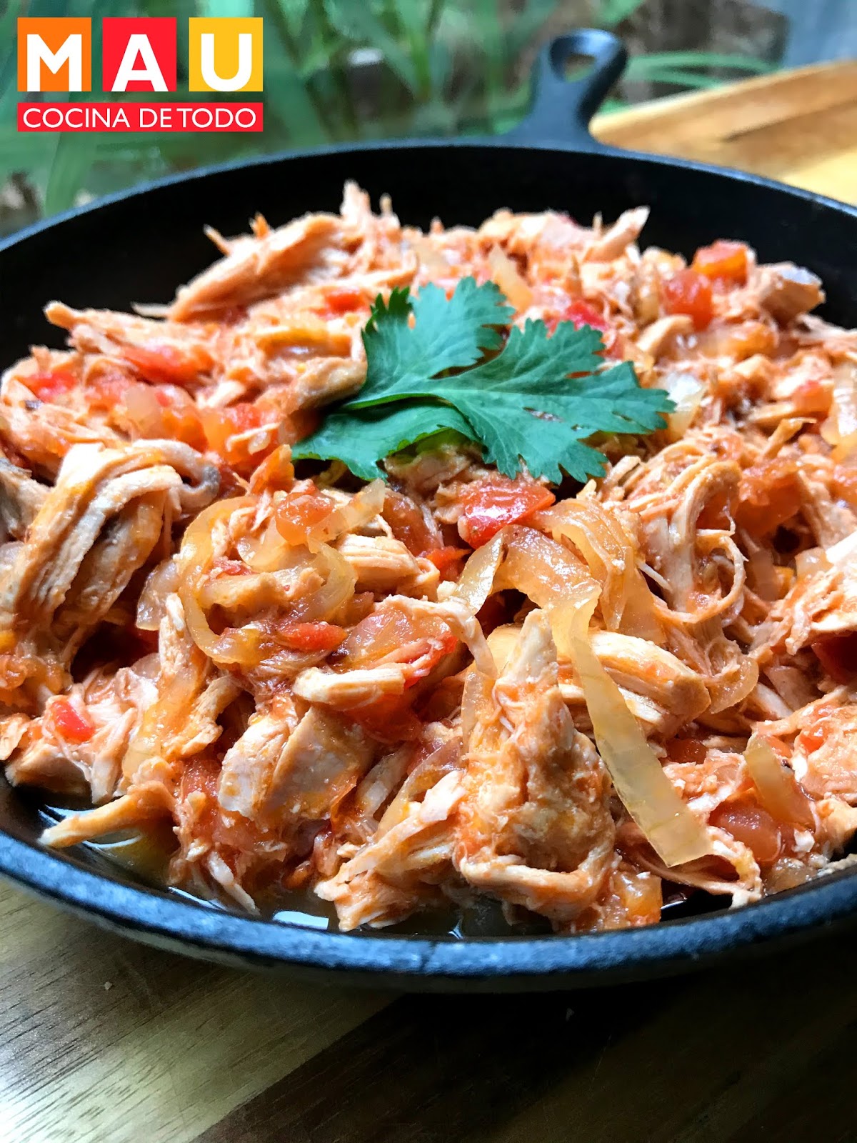 Tinga Poblana de Pollo